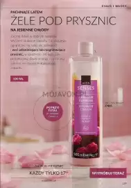 Avon gazetka Strona 169