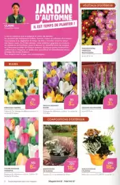 Catalogue Point Vert page 2: TULIPES MÉLANGE TRIOMPHE €8,99, CROCUS GRANDES FLEURS €3,49