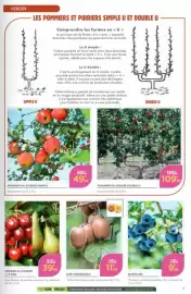 Catalogue Point Vert page 5: POMMIER OU POIRIER DOUBLE U €109,99, POMMIER OU POIRIER SIMPE U €49,99