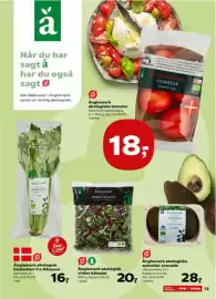 Kvickly tilbudsavis uge 40 Side 13