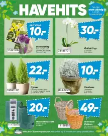 Bilka tilbudsavis Side 41: Vindheks €10,00, Cypres €22,00