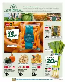 Bilka tilbudsavis Side 36: ØKO knoldselleri €15,00, Salling Danske løg €15,00