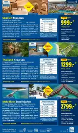 Lidl Flugblatt Seite 11