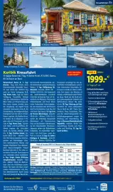 Lidl Flugblatt Seite 13