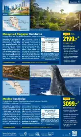 Lidl Flugblatt Seite 21