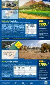 Lidl Flugblatt Seite 23