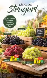 Catalog Mega Image săptămâna 40 Pagină 13