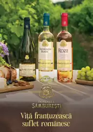 Catalog Mega Image Pagină 25