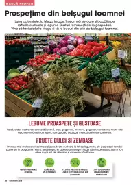 Catalog Mega Image Pagină 28