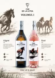 Catalog Mega Image Pagină 34