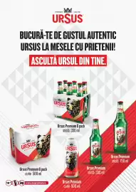 Catalog Mega Image Pagină 36