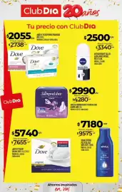 Folleto Supermercados DIA semana 40 Página 32