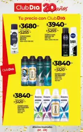 Folleto Supermercados DIA semana 40 Página 33