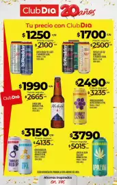 Folleto Supermercados DIA semana 40 Página 35: Bierhaus cerveza en lata honey lazybee €2.490,00