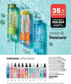 Catálogo Avon Página 100