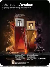 Catálogo Avon Página 102