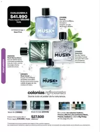 Catálogo Avon Página 107