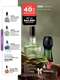 Catálogo Avon Página 109