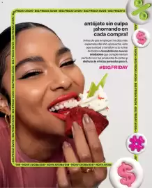Catálogo Avon Página 13