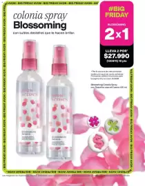Catálogo Avon Página 20