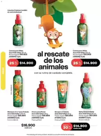 Catálogo Avon Página 209
