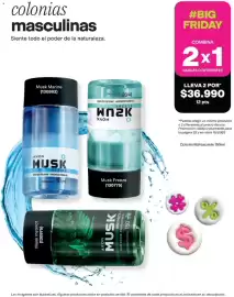 Catálogo Avon Página 22