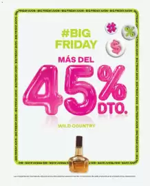 Catálogo Avon Página 24