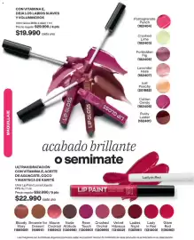 Catálogo Avon Página 67