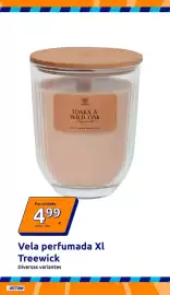 Folheto Action semana 40 Página 3: Vela perfumada xl treewick €4,99