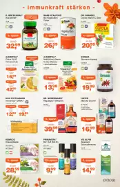 Prokopp Flugblatt Seite 3: P. Jentschura WurzelKraft €32,99, Hoyer Manuka Oxymel €16,59