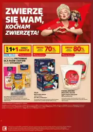 Kaufland gazetka Strona 18