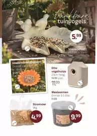 Coppelmans folder Pagina 5: Meelwormen €9,99, Strooivoer €4,99