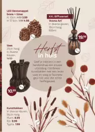 Coppelmans folder Pagina 9: LED Dennenappel brons + timer H: 10cm. 4.99 3.99 H: 12,5cm. 5.99 4.99 XXL Diffuserset 'Aroma
