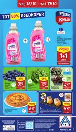 ALDI folder week 42 Pagina 32
