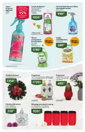 EcoFamily akciós újság hét 41 Oldal 18: Astonish daily shower & shine €990,00, Frosch tisztítószer €1.050,00