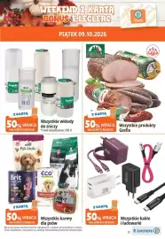 E.Leclerc gazetka | Gdansk Przymorze Strona 3: Wszystkie wkłady do zniczy, Wszystkie produkty Gzella