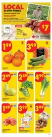 No Frills flyer week 40 Page 3: Leeks €4,99, Pie pumpkins €1,99