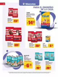 Catálogo MaxiAhorro Página 14: Ricocat Alimento para Gato Adulto Festival de Sabores Cachorro Carne-Pescado €38,90