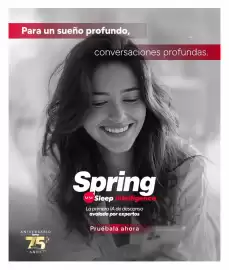 Catálogo Colchones Spring Página 2
