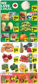 Food Basics flyer week 40 Page 3: Raspberries, Blackberries, Blueberries, Pineapples €3,99, Cranberries €2,88