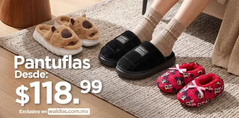 Catálogo Waldos (válido hasta 1-11)