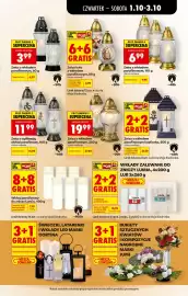 Biedronka gazetka tydzień 40 Strona 77: Znicz z aplikacją wkład parafinowy €11,99, Znicz z wkładem parafinowym €3,99