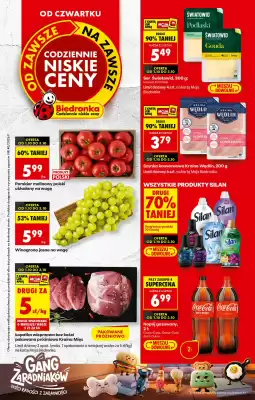 Biedronka gazetka