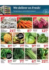 Oxford Freshmarket catalogue Page 4: Carrot Prepack €8,99, Green Cabbage €9,99