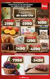 Folleto Supermercados DIA semana 40 Página 1