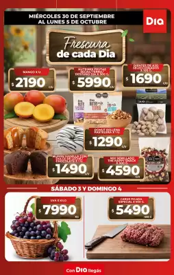 DIA (válido hasta 5-10)