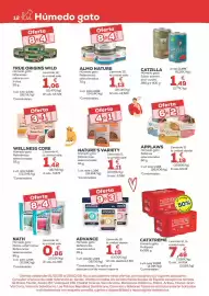 Folleto Kiwoko Página 12: True origins - wild humedo gato diferentes sabores con frutas €1,59, Applaws - humedo gato €1,59