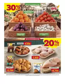 Catálogo Ara Página 2: Contramuslo de pollo congelado €3.800,00, Bucanero alitas congeladas picantes €9.990,00