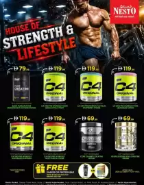 Nesto catalogue Page 1