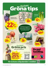 Stora Coop reklamblad vecka 41 Sida 5: Rosor 9-pack €69,90, Ekologisk sallad i påse €26,00